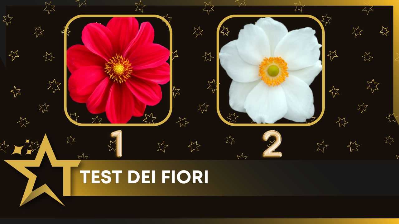 Test fiori copertina