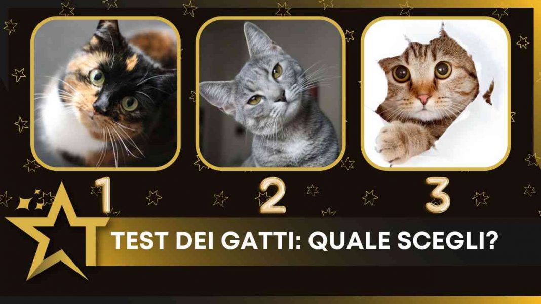 Test dei gatti troverai l'anima gemella? Test dei gatti troverai l'anima gemella?