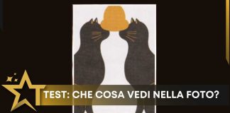 test che cosa vedi nella foto