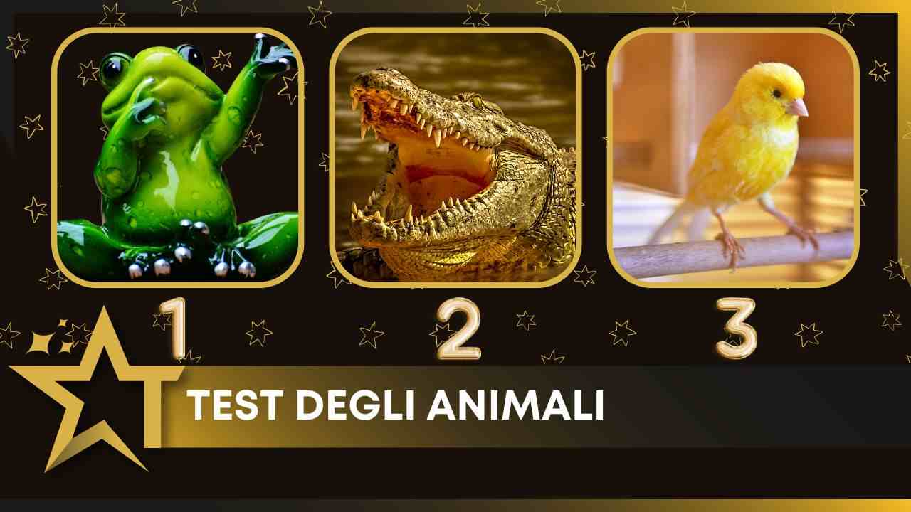 Test animali
