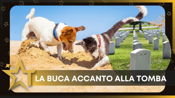 Cani cimitero