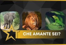 test amante