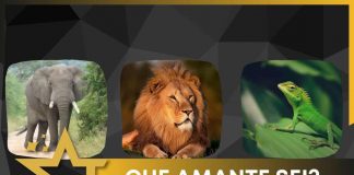 test amante